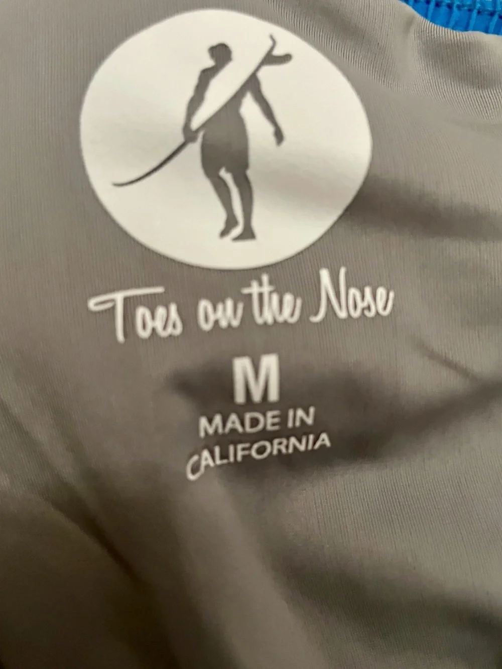 TOES on the NOSE Scenic HOTEL CORONADO San Diego Print SWIM TRUNKS Size Medium